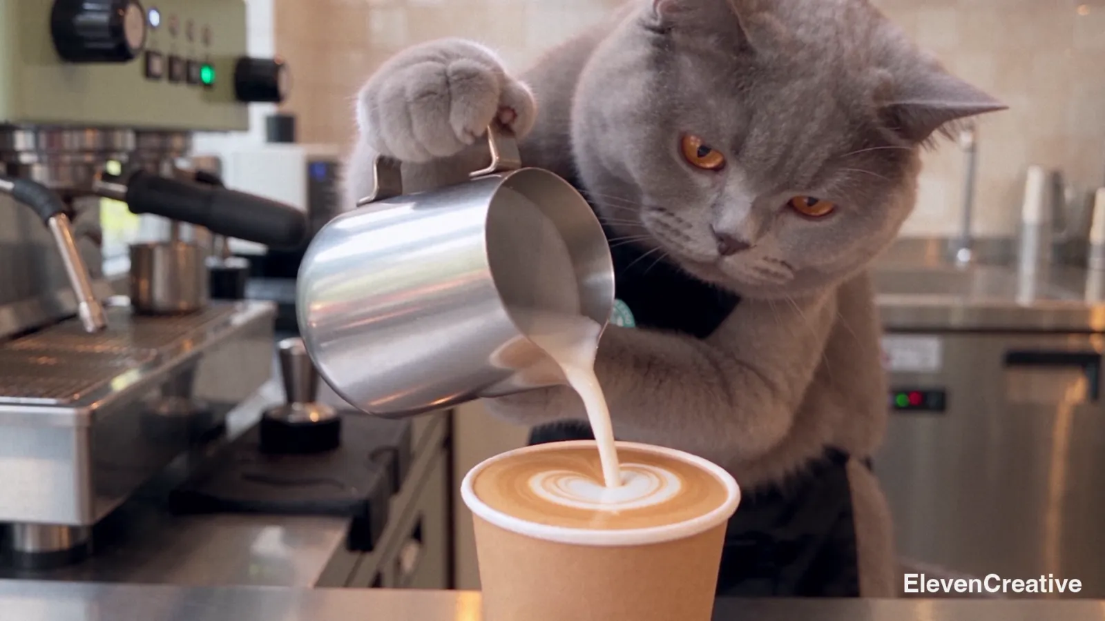 Close-up of the cat pouring steamed milk into a paper cup, a latte-art heart forming.